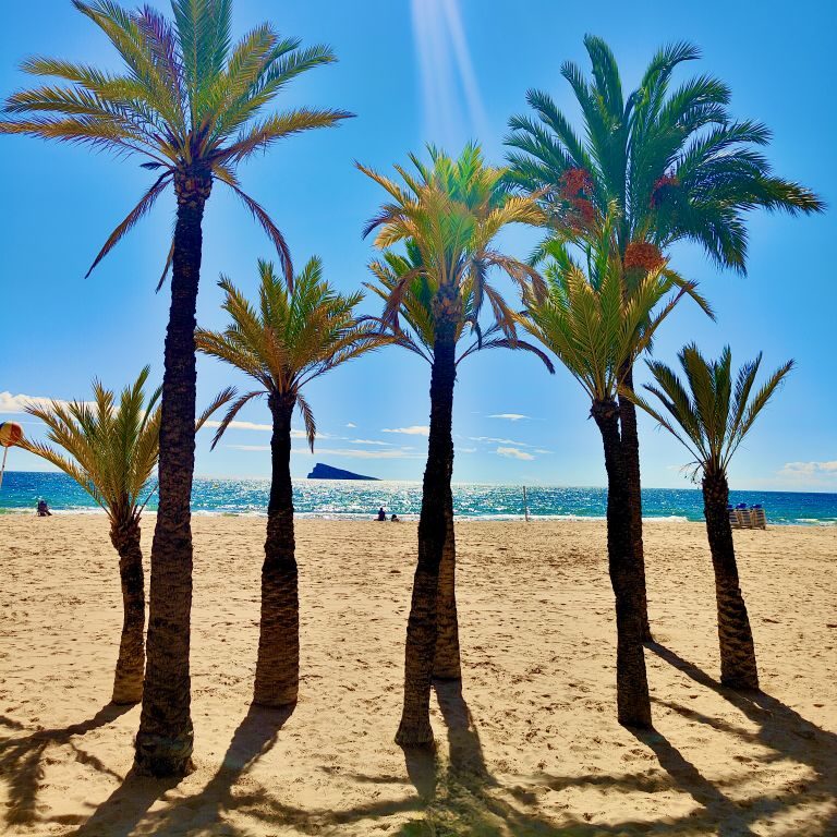 Playa Levante et ciel bleu Playa Levante Benidorm vue panoramique avec palmiers et île de Benidorm